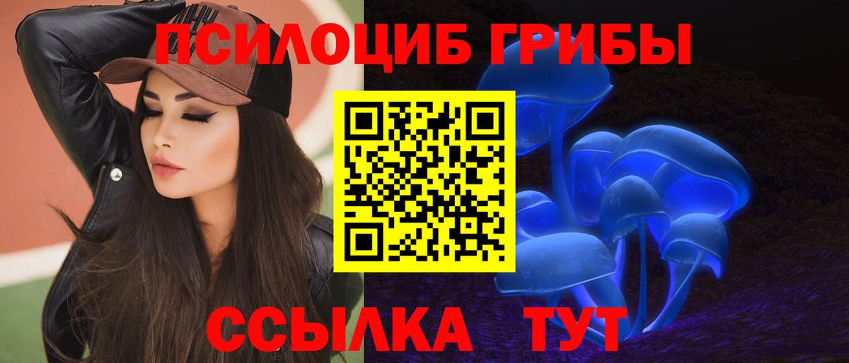 Псилоцибиновые грибы мицелий  Псилоцибиновые грибы ЛСД  Кизилюрт  Вход с VPN 
